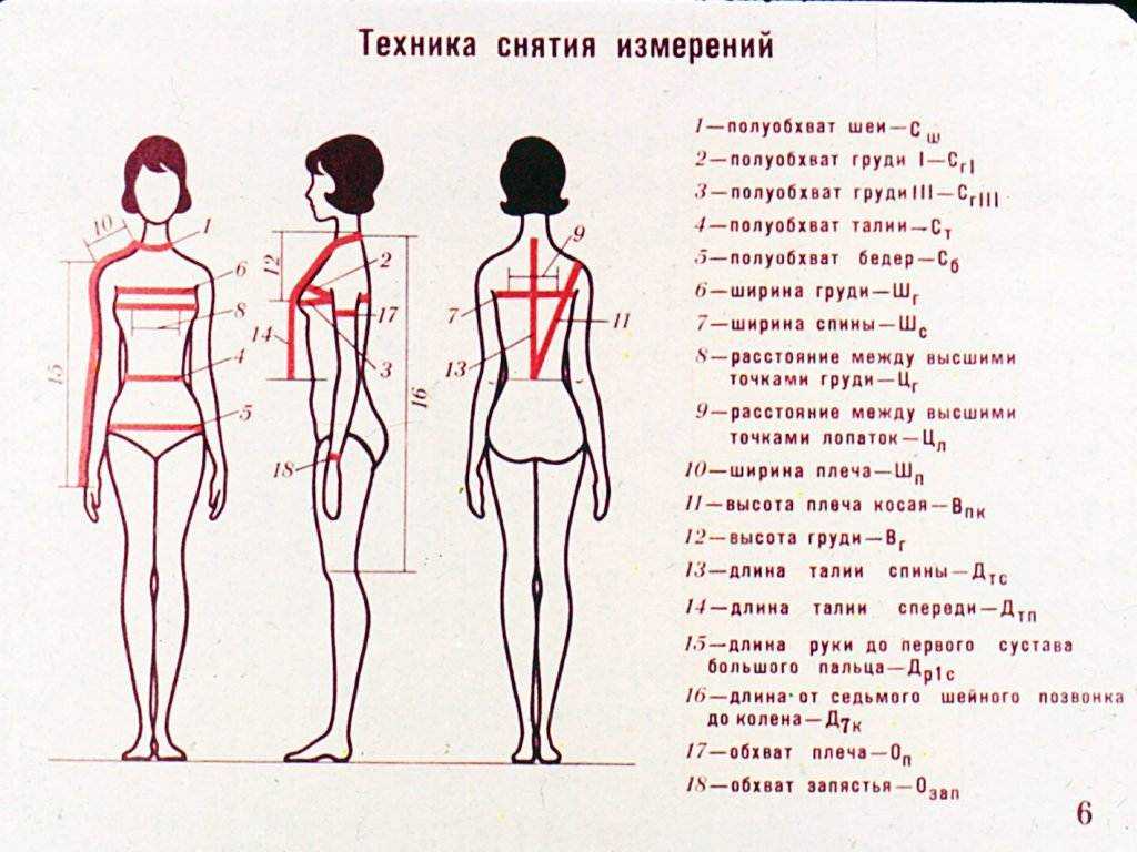 Как правильно определить размер одежды при помощи таблицы признаков типовых фигур женщин