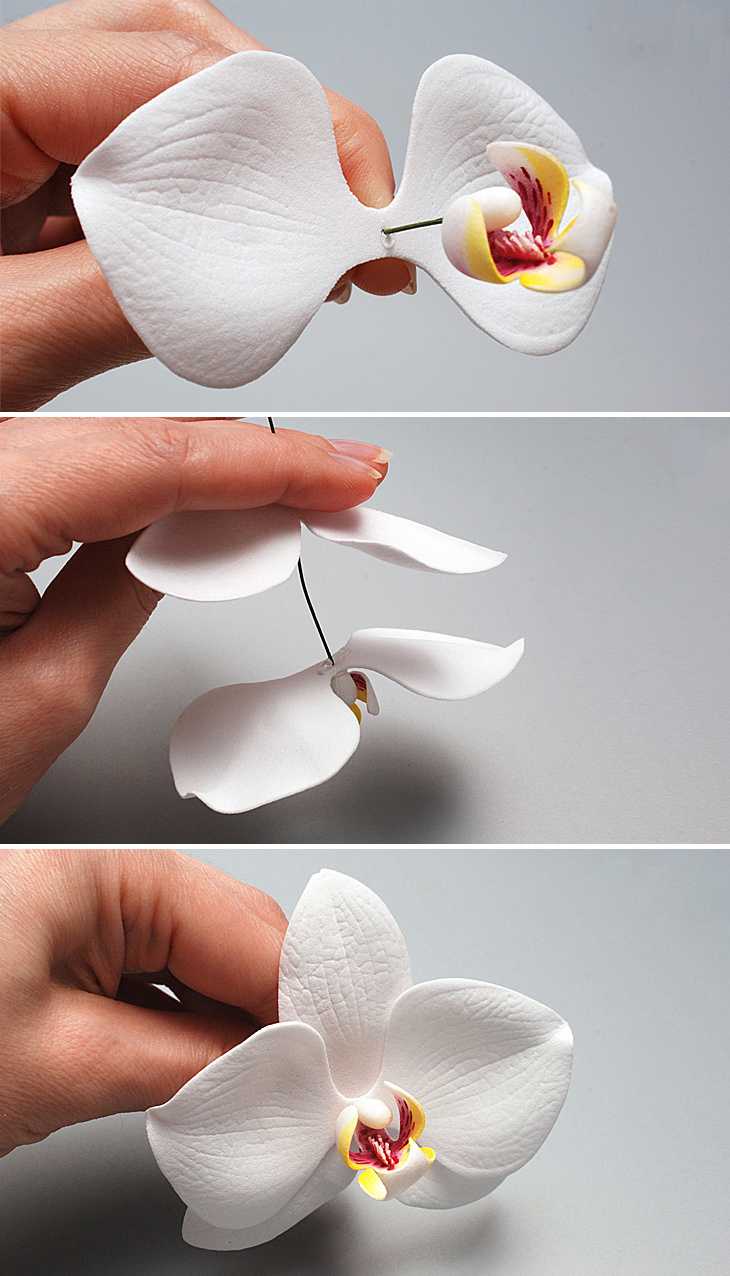 Букет из конфет своими руками: варианты оформления сладкого букета, простые схемы создания своими руками + мастер-класс для начинающих