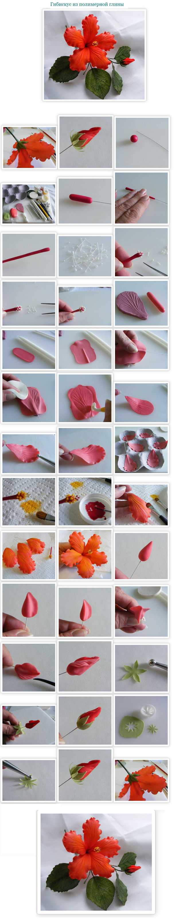 Цветы из полимерной глины — инструкция для начинающих, советы и фото примеры работ