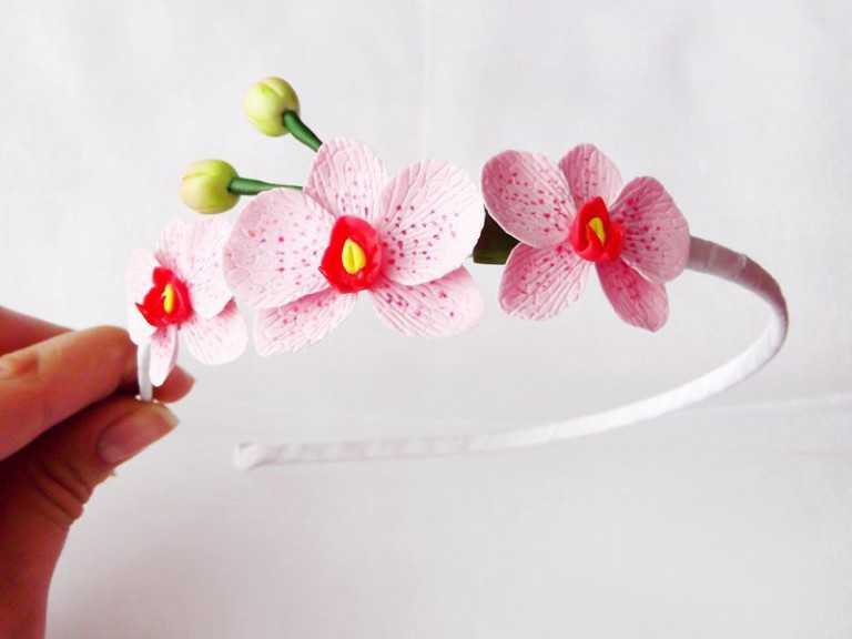 Значение цветка орхидея - особенности, характеристики и описание :: syl.ru