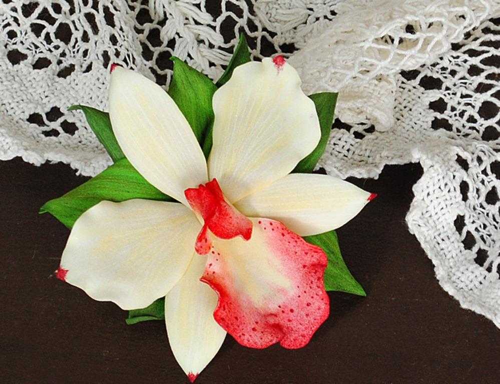 Орхидея в доме: приметы, суеверия и правила круглогодичного цветения :: инфониак