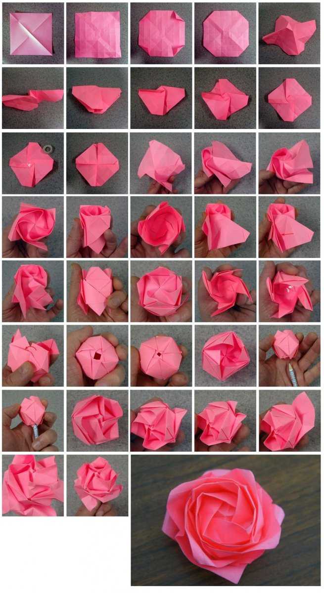 Цветы из бумаги своими руками – 4 мастер-класса для новичков